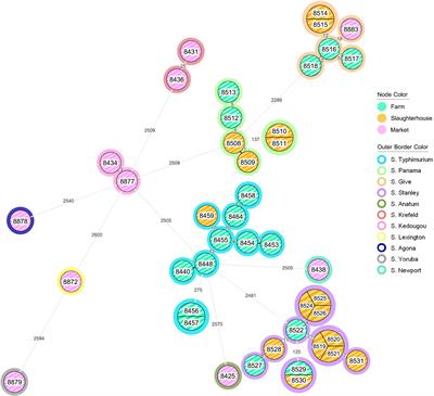 Genome-based analysis of infrequent Salmonella serotypes through the Thai pork production chain